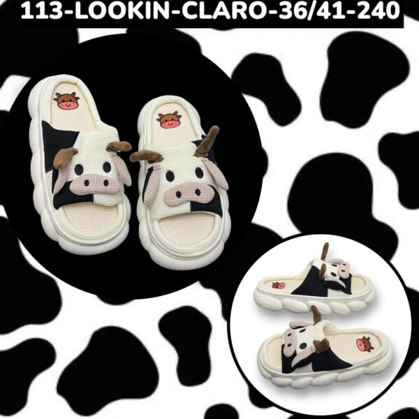 113-LOOKIN-CLARO-36-41
